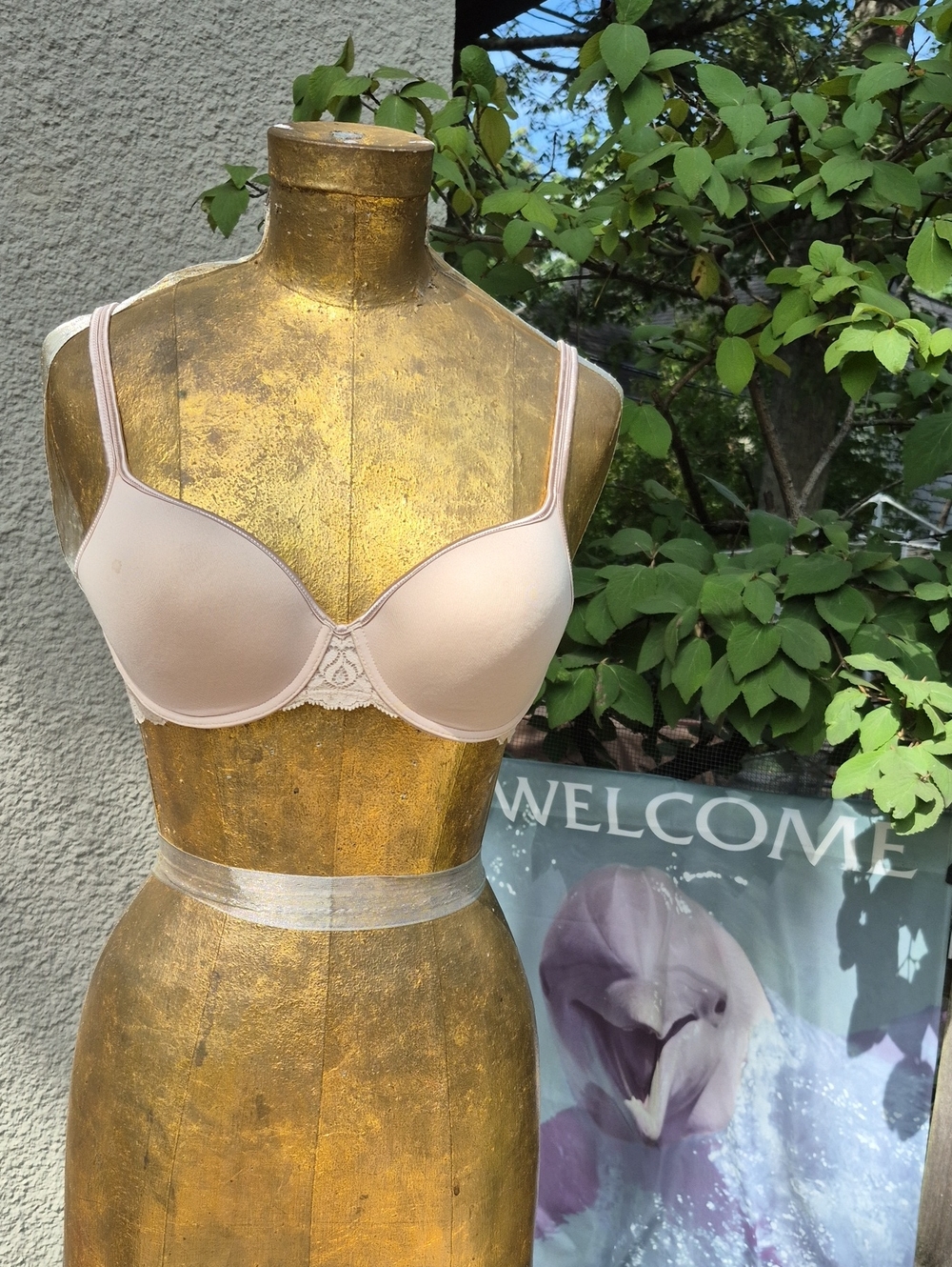 Wacoal Light Nude T-Shirt Bra